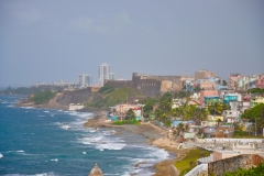 DSC_0442